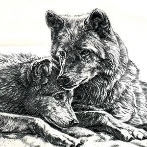 Montana Marble Inc. 1993 Lee Cable "Soul Mates" wolves etched, 11x8.5